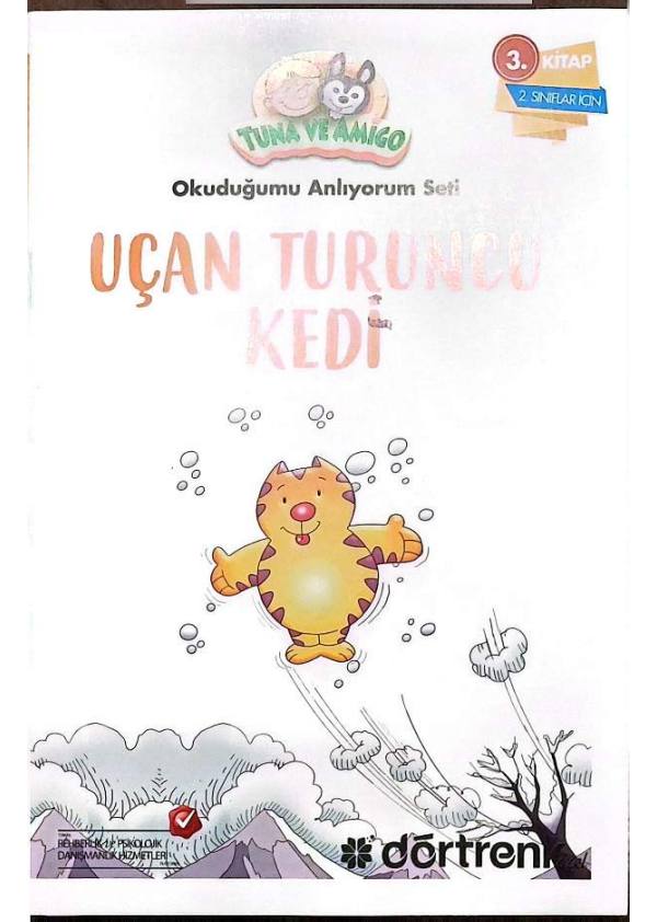 Uçan Turuncu Kedi kapağı